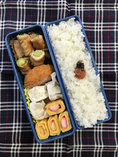 20240613マイ弁当-レシピのメイン写真