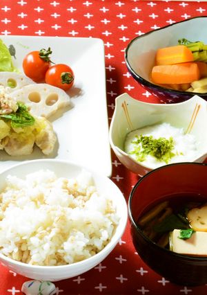 ネギたっぷり旨鶏御膳-レシピのメイン写真