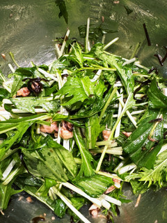 水菜とツナと塩昆布のサラダ-レシピのメイン写真