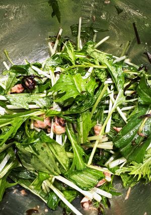 水菜とツナと塩昆布のサラダ-レシピのメイン写真