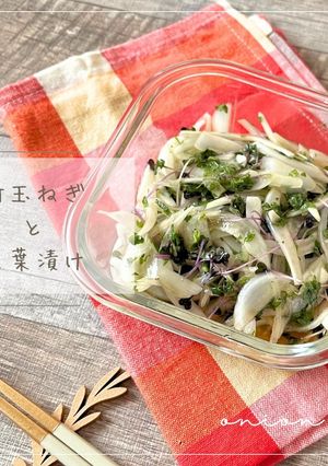 新玉ねぎと大葉漬け-レシピのメイン写真