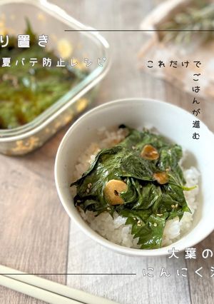ご飯が進む♪大葉のにんにく漬け-レシピのメイン写真