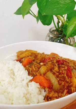 みんな大好き！無水トマトキーマカレー-レシピのメイン写真