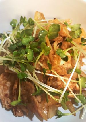 ヘルシーな豚肉のしょうが焼き-レシピのメイン写真