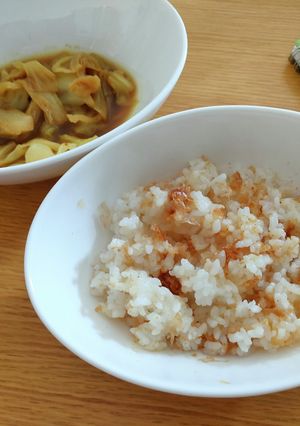 おかかの混ぜご飯-レシピのメイン写真