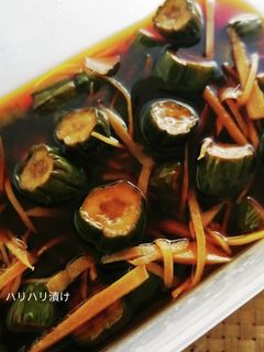 おふくろの味、ハリハリ漬け-レシピのメイン写真