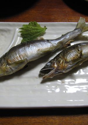 鮎の塩焼き-レシピのメイン写真