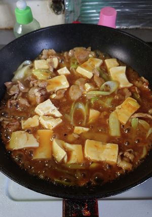 ヨウサマの減塩おやじの研究した肉豆腐-レシピのメイン写真