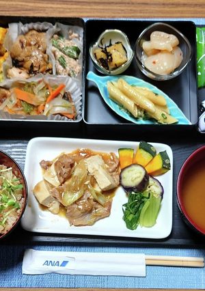 ヨウサマの減塩ANAプレミアム福岡編8-レシピのメイン写真
