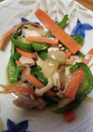 鶏肉と野菜の炒め物-レシピのメイン写真