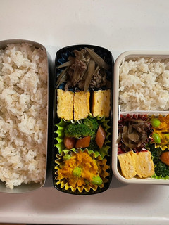 高校生お弁当 24/6/18-レシピのメイン写真
