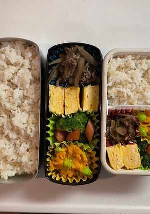 高校生お弁当　24/6/18-レシピのメイン写真
