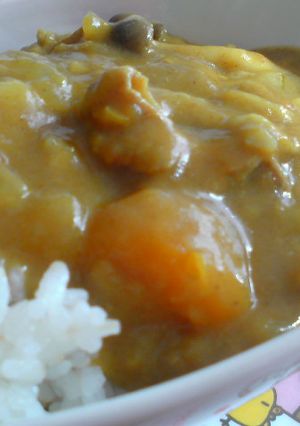 ルー無しカレーライス-レシピのメイン写真