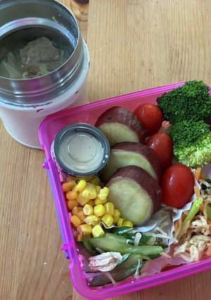 高校生女子弁当　173-レシピのメイン写真