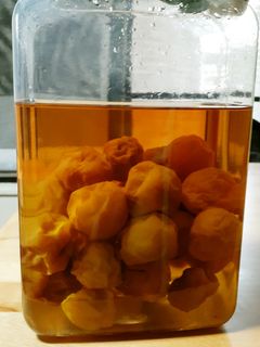 梅シロップ-レシピのメイン写真