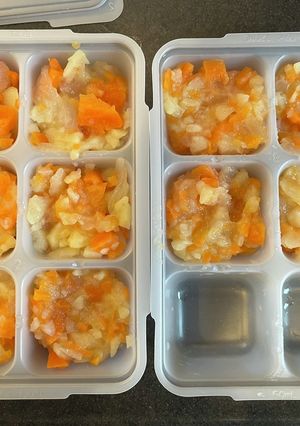離乳食　後期　肉じゃがの素-レシピのメイン写真