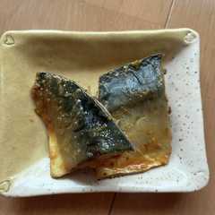 รูปของ 鯖の味噌煮