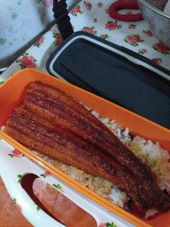 うなぎ弁当-レシピのメイン写真