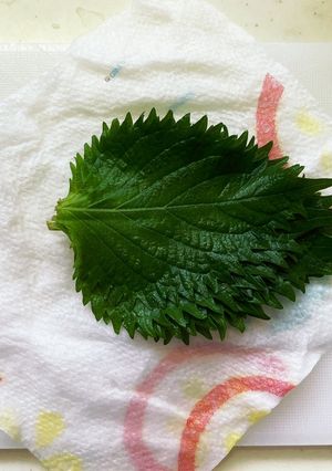 しその保存方法-レシピのメイン写真