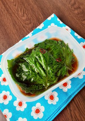 大葉漬け-レシピのメイン写真
