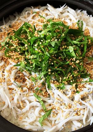 しらすの風味を全力で浴びたい時の混ぜご飯-レシピのメイン写真