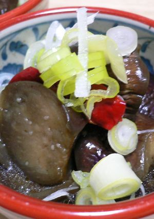 うちの…なすの煮浸し-レシピのメイン写真