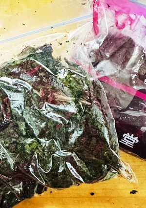 捨てないで！紫蘇ジュース残り葉活用レシピ-レシピのメイン写真