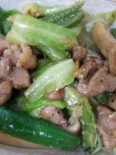 春キャベツと豚の味噌オイスター炒め-レシピのメイン写真
