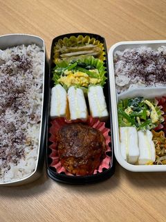 高校生お弁当24/6/24-レシピのメイン写真