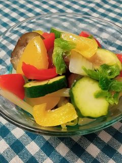 夏野菜のマリネ-レシピのメイン写真