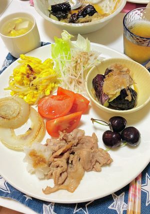 夏に食欲増進さっぱりご飯の献立-レシピのメイン写真