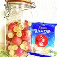 塩カンロ飴梅シロップ