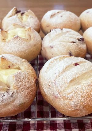 クリームチーズとクランベリーのまるパン-レシピのメイン写真