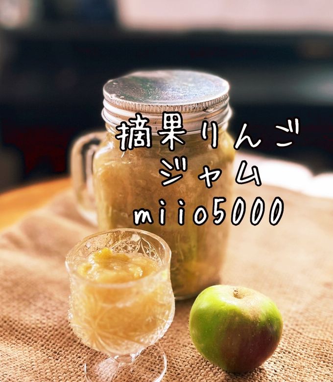 ジャムなどの加工用　摘果りんご 長野県産 サンふじ 摘果りんご 加工 ジャム用 10キロ 送料無料 送料