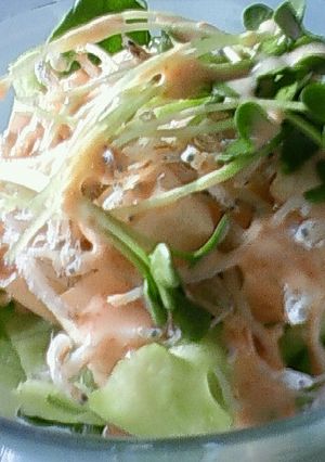 豆腐とジャコのゴマ和えサラダ-レシピのメイン写真