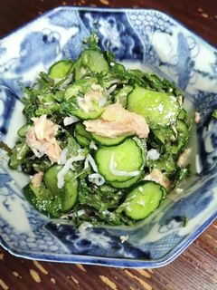 青じそたっぷりきゅうりの和え物-レシピのメイン写真