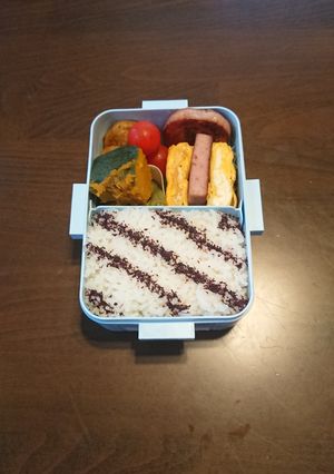 中学生女子弁当2024/06/28-レシピのメイン写真