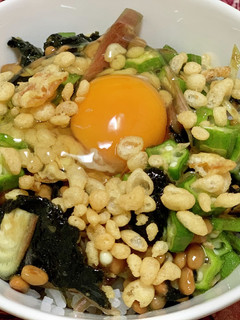 夏野菜と納豆丼-レシピのメイン写真