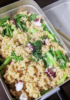 【目指せ０汁０菜】タコ菜飯-レシピのメイン写真