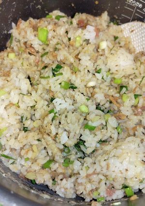 薬味たっぷり鰯の味噌煮缶混ぜご飯-レシピのメイン写真