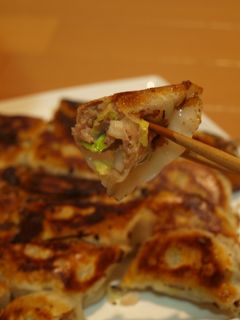 春キャベツ餃子-レシピのメイン写真