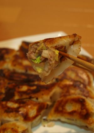 春キャベツ餃子-レシピのメイン写真