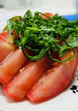 青じそとまとサラダ-レシピのメイン写真