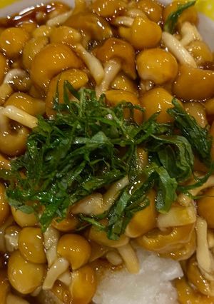 パパナメコおろし-レシピのメイン写真