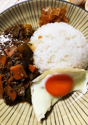 減塩ナスカレー-レシピのメイン写真