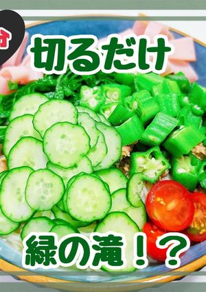 愛情入り冷そうめん(素麺)緑の滝-レシピのメイン写真
