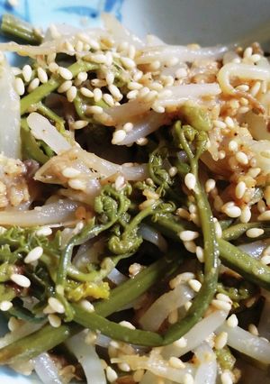 ご飯メモ♪ワラビともやしのナムル-レシピのメイン写真