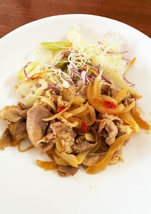 豚小間で♫ピリ辛生姜焼き-レシピのメイン写真