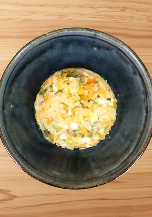 犬ご飯/低脂質なささみとカボチャのごはん-レシピのメイン写真