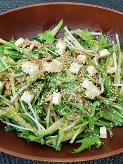 水菜ときゅうりのシーチキンサラダ-レシピのメイン写真